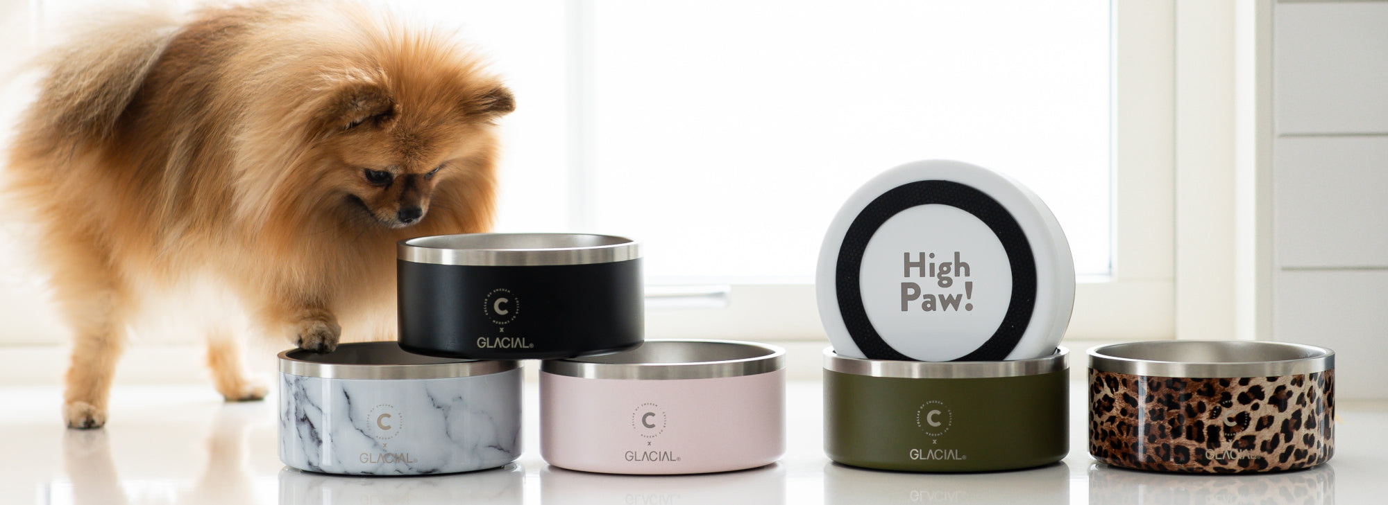 Premium Dog Bowls
