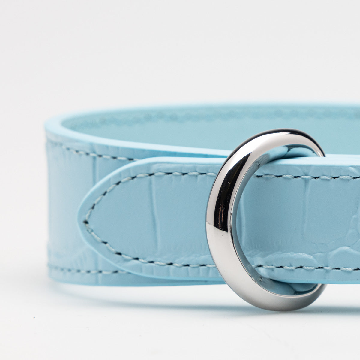 Baby Blue Croco Dog Collar Thin  Collier pour chien mince Baby Blue Croco