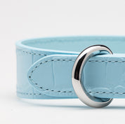 Baby Blue Croco Dog Collar Thin  Collier pour chien mince Baby Blue Croco