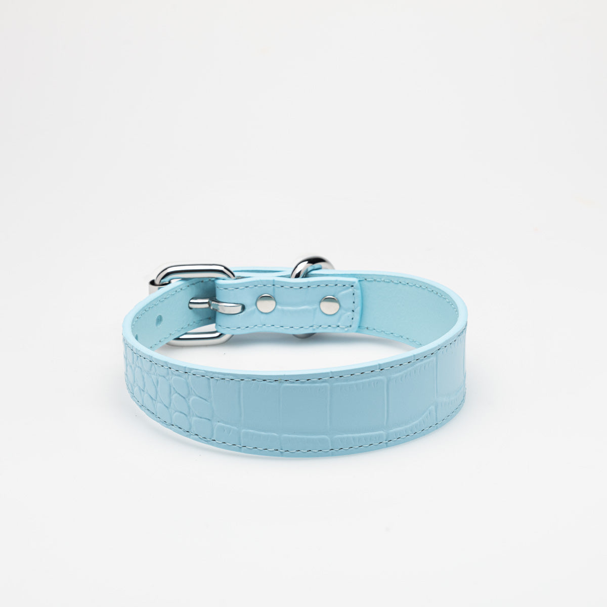 Baby Blue Croco Dog Collar Thin  Collier pour chien mince Baby Blue Croco