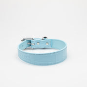 Baby Blue Croco Dog Collar Thin  Collier pour chien mince Baby Blue Croco