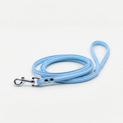 Laisse pour chien bleu ciel pour chiot