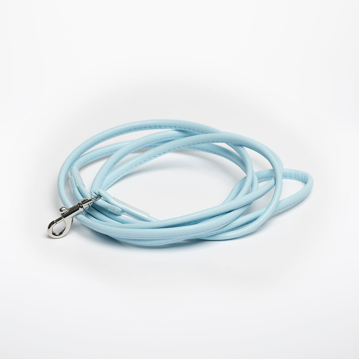 Laisse pour chien bleu ciel pour chiot