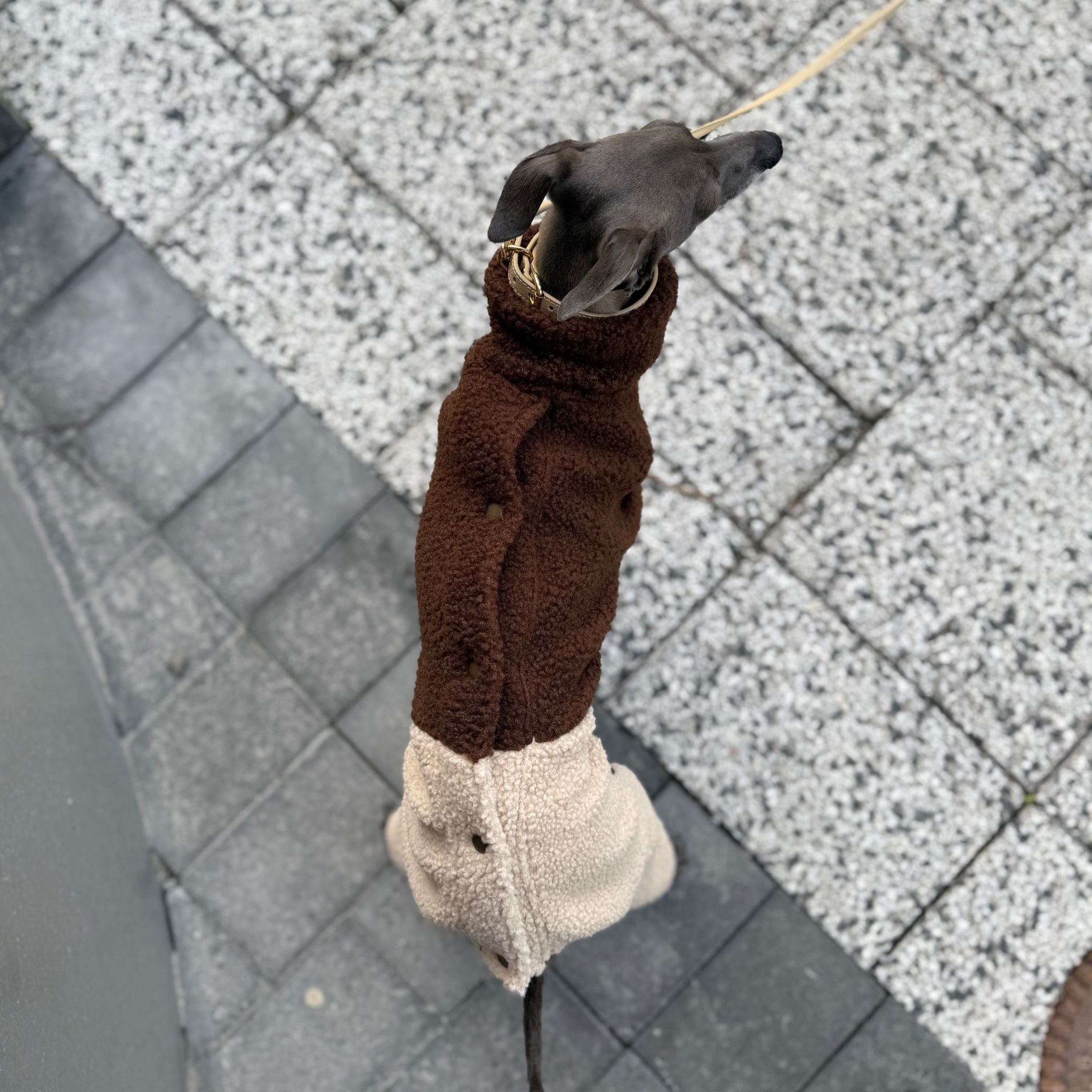 Beige & Brown Sighthound Fleece Onesie