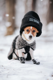 Bonnet en laine noire - Propriétaire de chien anti-social