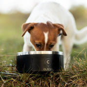 Bol pour chien noir