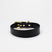 Collier de chien noir fin