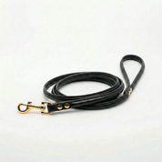 Laisse pour chien noir