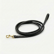 Laisse pour chien noir