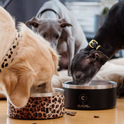 Bol pour chien léopardBol pour chien léopard