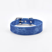 Collier pour chien en denim bleu fin
