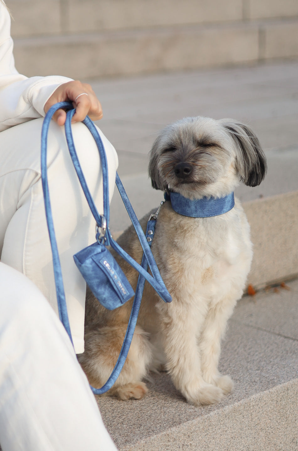 Laisse pour chien en denim bleu