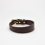 Collier de chien mince brun café