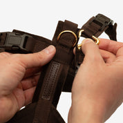 Harnais en Y Marron Foncé XS