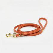 Laisse pour chien Cognac 