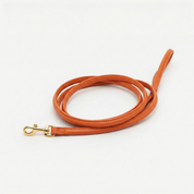 Laisse pour chien Cognac 