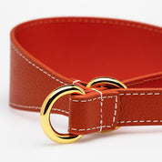 Cognac Collier de Chien Martingale Large