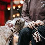 Collier de chien en cuir large