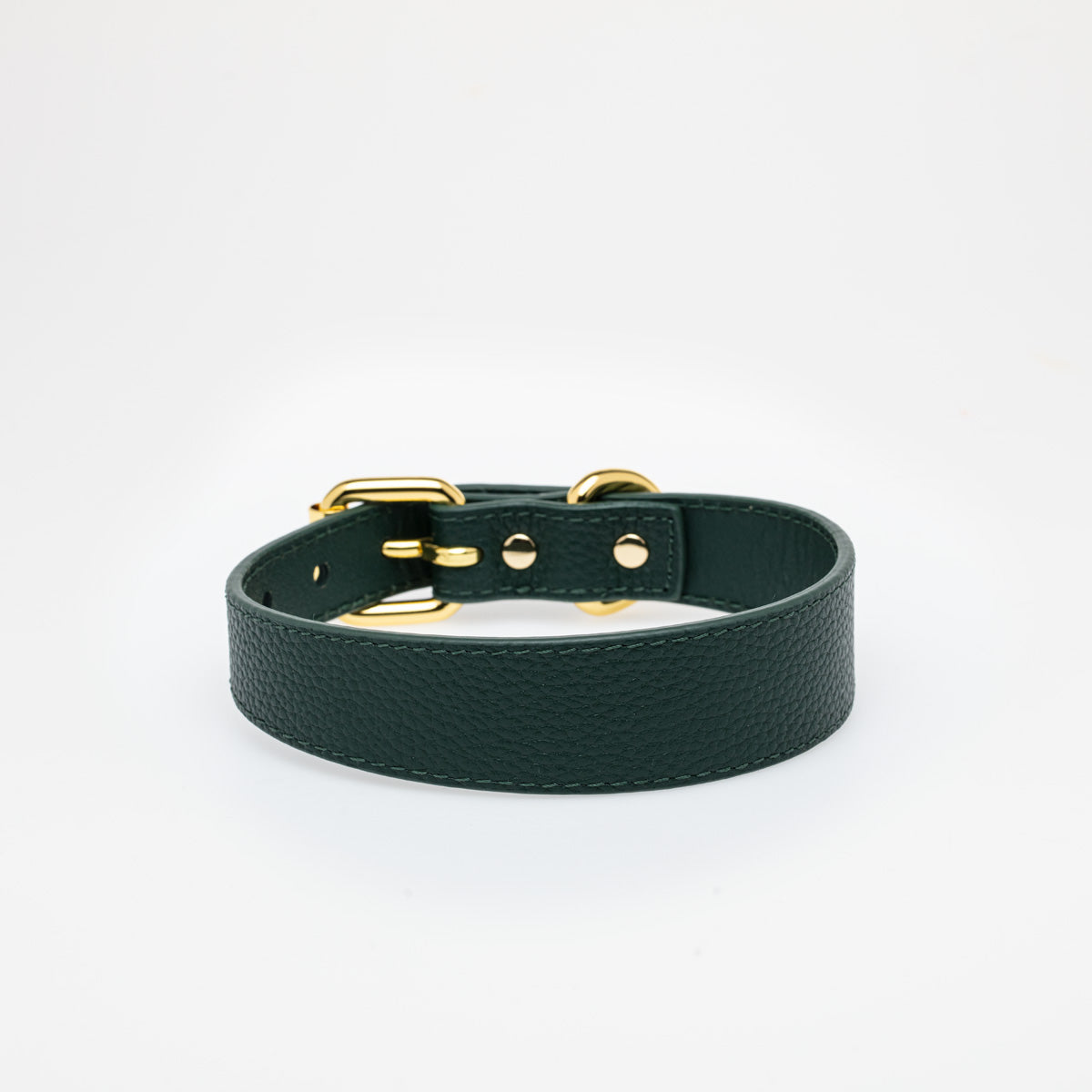 Collier de chien fin vert foncé