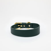 Collier de chien fin vert foncé
