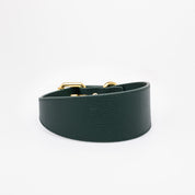 Collier de chien large vert foncé