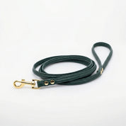 Laisse pour chien vert foncé