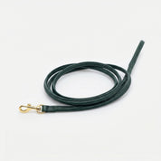 Laisse pour chien vert foncé