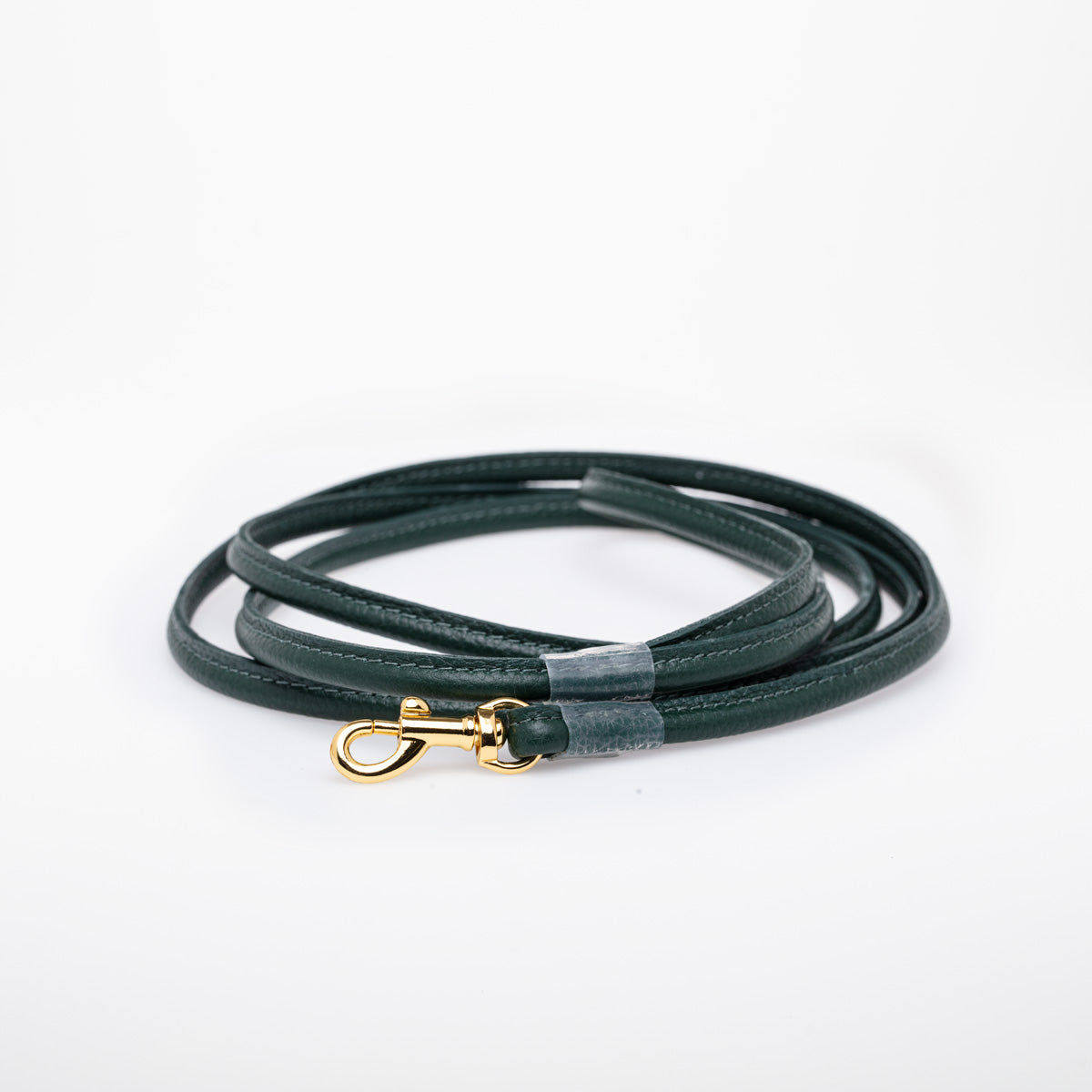 Laisse pour chien vert foncé