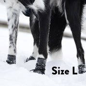 Chaussettes pour chiens - lot de 4