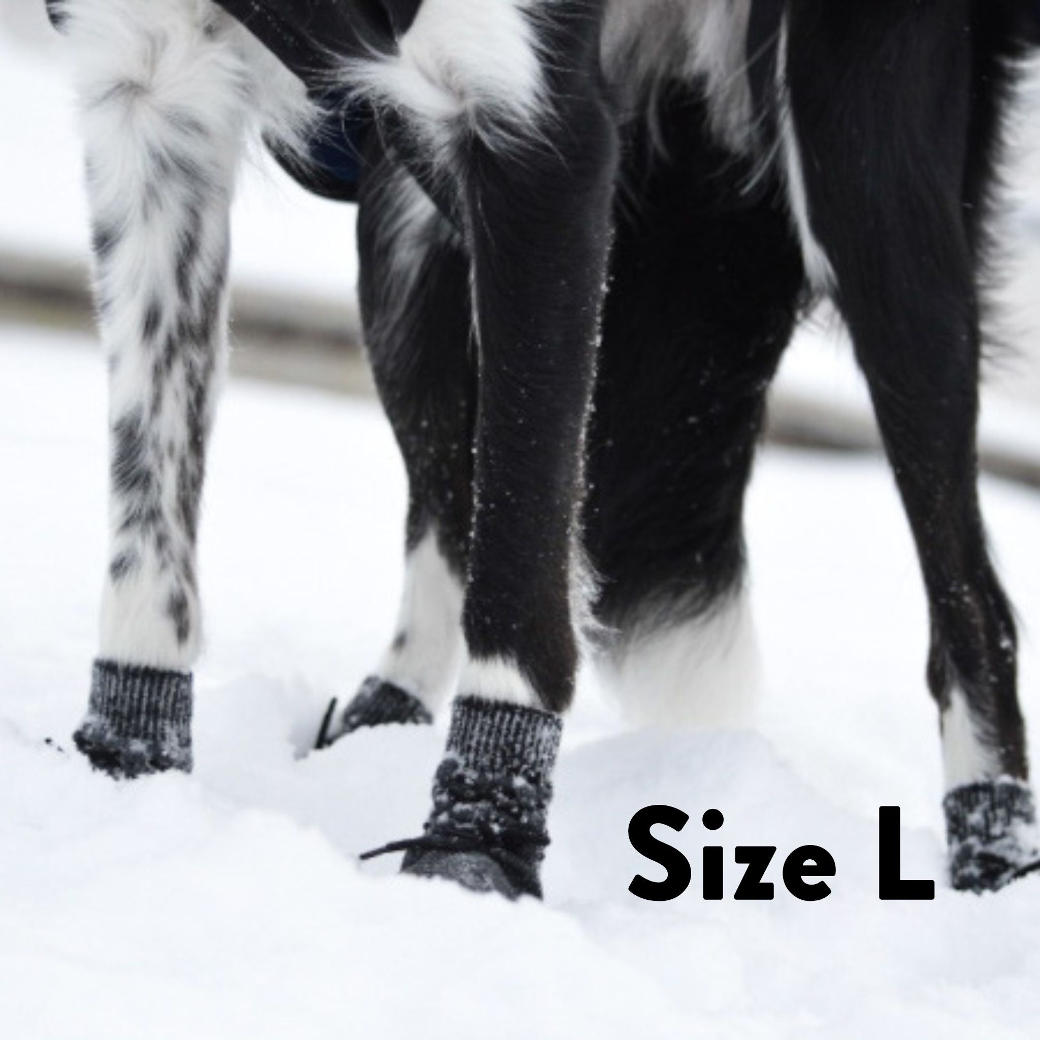 Chaussettes pour chiens - lot de 4