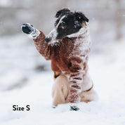 Chaussettes pour chiens - lot de 4