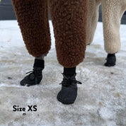 Chaussettes pour chiens - lot de 4