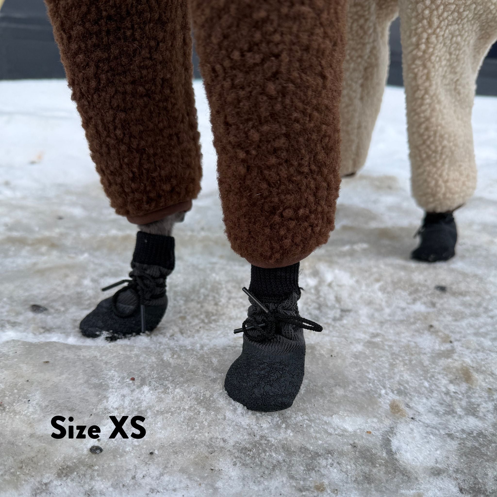 Chaussettes pour chiens - lot de 4