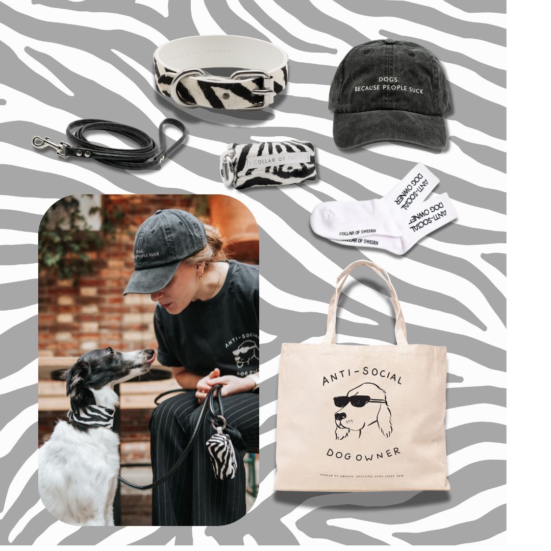 get-the-look-zebra-edition.jpg