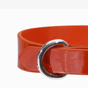 Collier de chien orange brillant mince