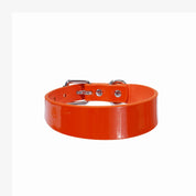 Collier de chien orange brillant mince