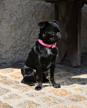 Collier de chien rose brillant mince