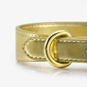 Collier pour chien en métal doré mince 