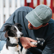 Casquette en denim vert - The Dogfather