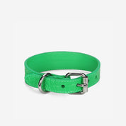 Collier pour chien en cuir Croco vert pur fin 