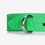 Collier pour chien en cuir Croco vert pur fin 