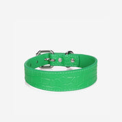 Collier pour chien en cuir Croco vert pur fin 