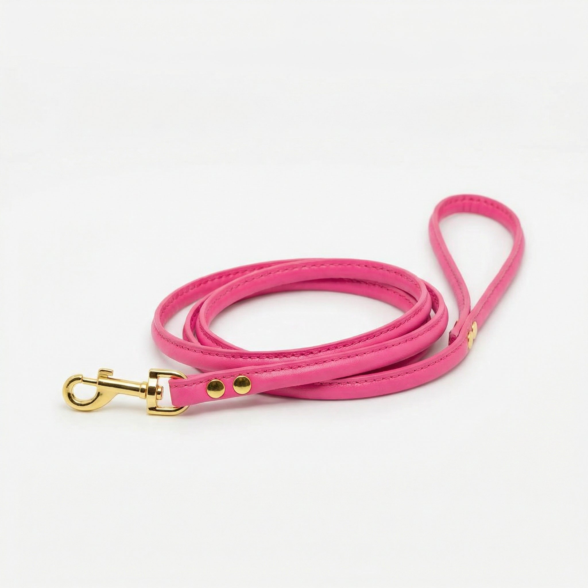 Laisse pour chien rose vif 