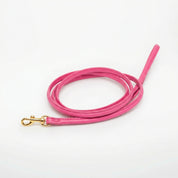 Laisse pour chien rose vif 