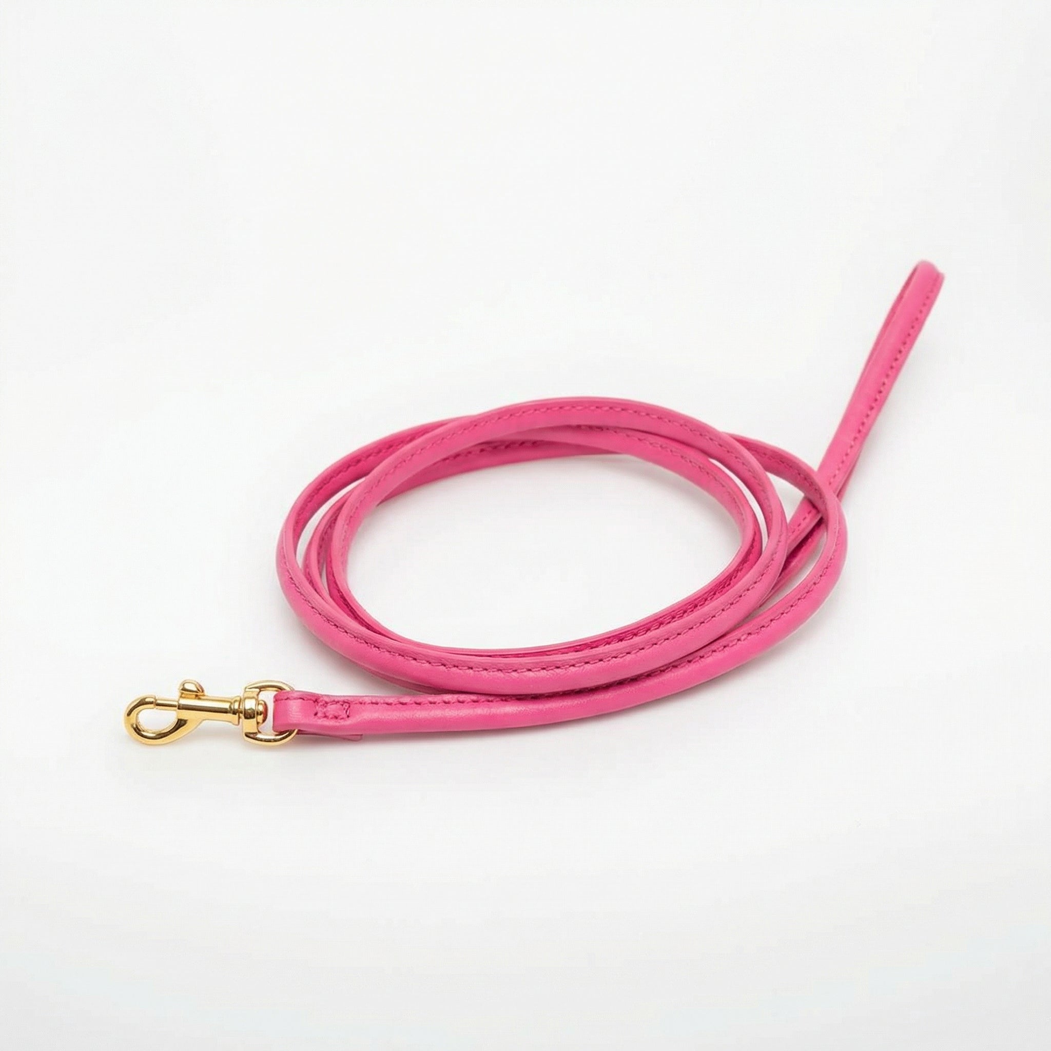 Laisse pour chien rose vif 