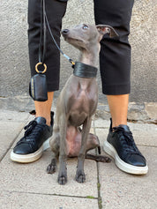 Collier de chien large en croco noir