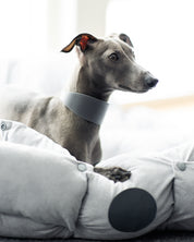 Collier de chien large gris foncé