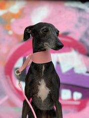 Rose Collier Martingale Large pour Chien