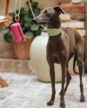 Collier de chien large en croco vert pastel