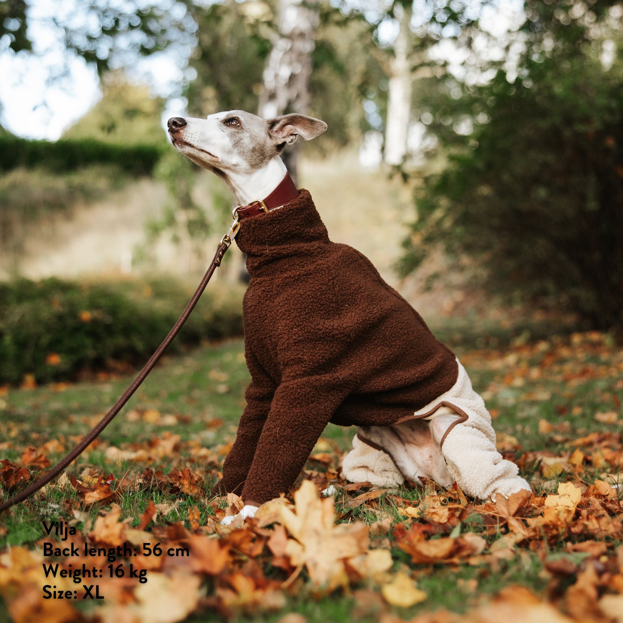 Beige & Brown Sighthound Fleece Onesie